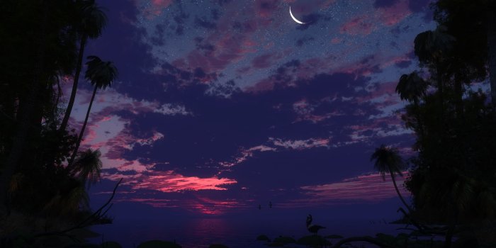 2560x1600 Photography of crescent moon during nighttime HD wallpaper