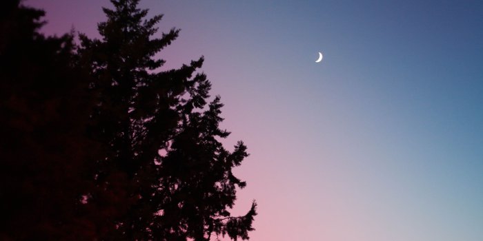 3888x2592 Crescent moon, Trees, Sky, Fir HD wallpaper | Wallpaper Flare