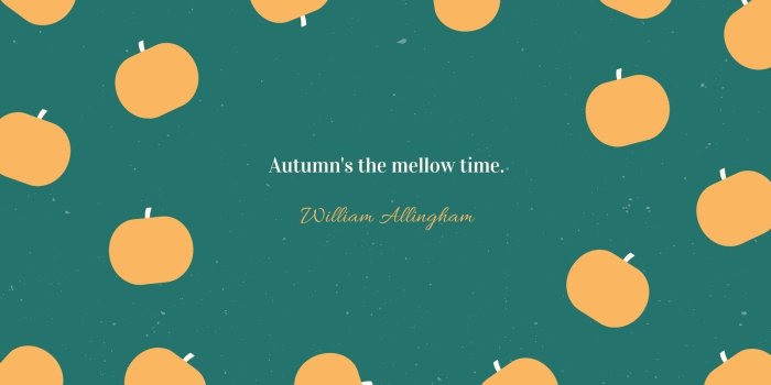 1600x900 Orange Green Fall Autumn Pumpkin Minimal Quote Desktop Wallpaper