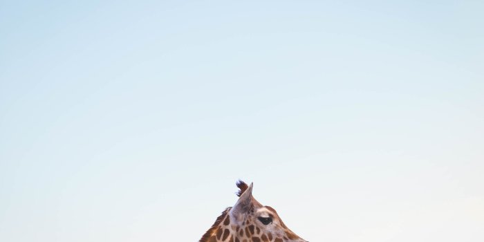 3000x2000 Minimalist Wallpapers: Free HD Download [500+ HQ] | Unsplash