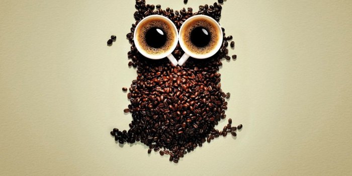 1918x1198 wallpaper Coffee Owl Creative Graphics HD Wallpapers free desktop