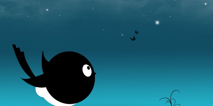 2560x1600 Creative Black Bird HD Wallpapers | HD Wallpapers | ID #6463