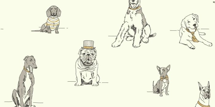 1500x1500 York Wallcoverings Ashford Toiles Dog's Life 33' x 21