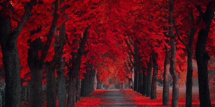 1920x1080 Pretty Red Backgrounds ·① WallpaperTag