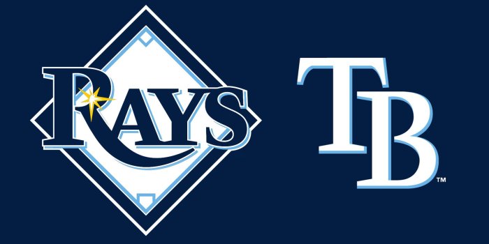 1920x1080 MLB Tampa Bay Rays Logo 1920x1080 wallpaper | Tampa bay rays, Rays