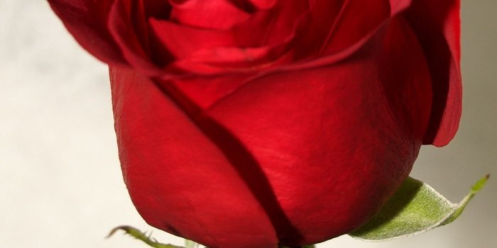 1215x1694 Red Girly Wallpapers - Top Free Red Girly Backgrounds