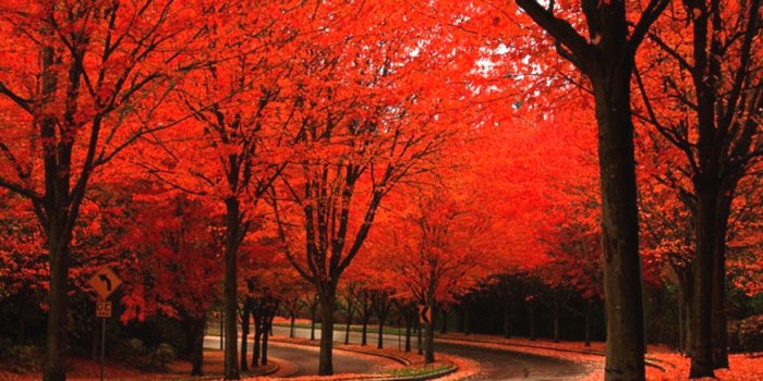 2560x1440 Pretty Red Backgrounds ·① WallpaperTag