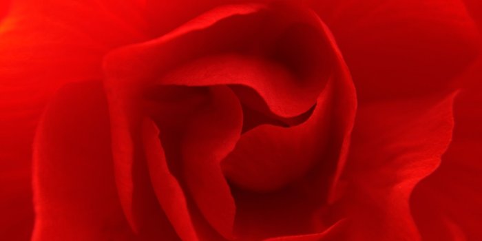 1920x1200 Free download Pretty Red Backgrounds Vector Download [1920x1200