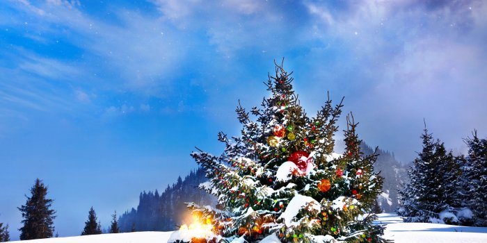 3200x2400 Christmas Trees Decorated Outside Ultra HD Desktop Background
