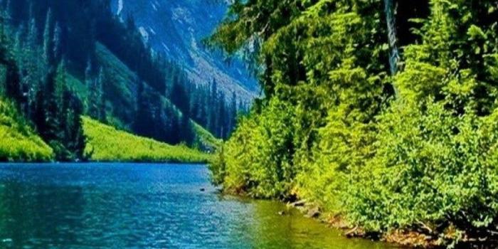 852x1608 Free download Nature Green Water Hd Wallpaper Smart Wallpapers