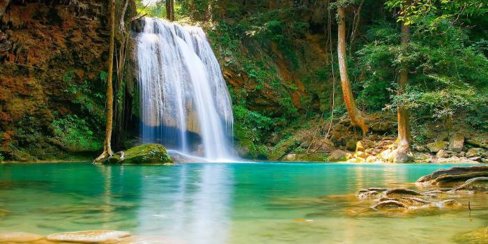 2560x1440 Nature Falls Pool With Turquoise Green Water Rock Coast Trees Hd
