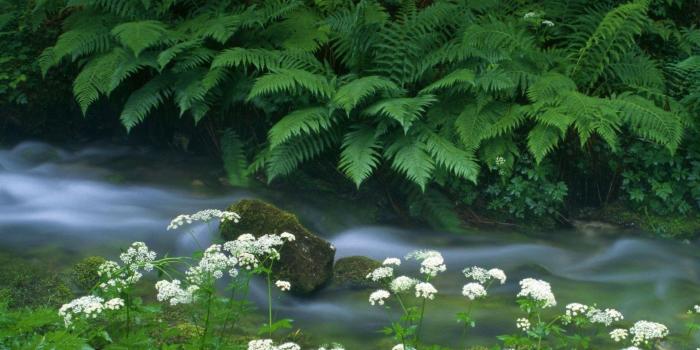 1920x1080 Wallpapers for Desktop Water Scenes (61+ images)