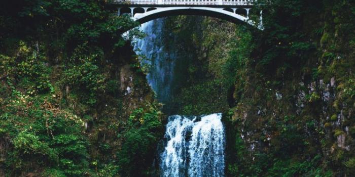 748x1122 nature, Water, Bridge, Trees, Waterfall HD Wallpapers / Desktop