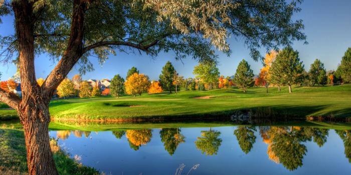 1920x1200 50+ Nature Wallpapers HD For Free Download