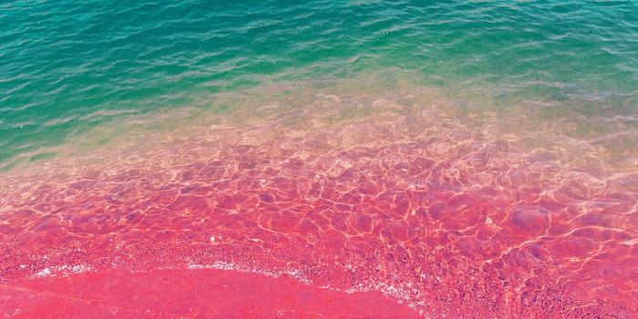 1366x768 np20-sea-water-beach-summer-nature-pink-wallpaper