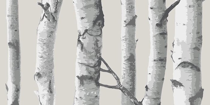1500x1500 NuWallpaper NU1650 Birch Tree Peel and Stick Wallpaper - - Amazon.com