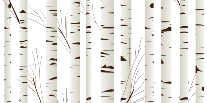 964x964 Birch Tree Wallpaper (Self-Adhesive) – Rocky Mountain Decals
