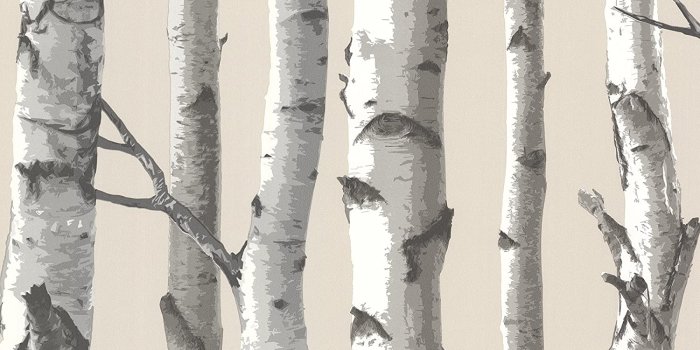 1500x1500 Chesapeake TLL21499 Tuxbury Birch Tree Wallpaper, Beige - - Amazon.com