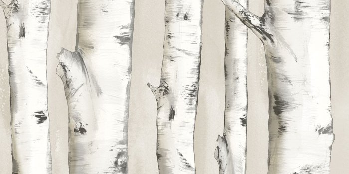 1522x1530 Union Rustic Ferrao Birch Tree 33' L x 20.4