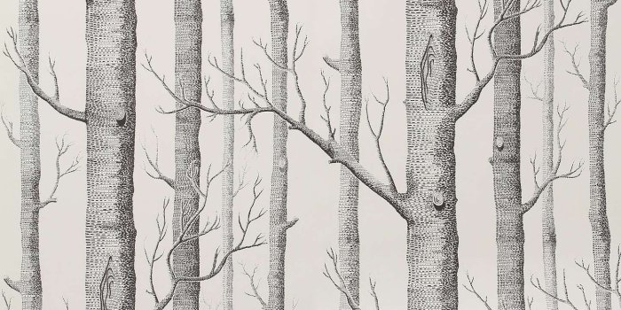 1450x2175 Woods Wallpaper | Birch tree wallpaper, Wood wallpaper, Home wallpaper