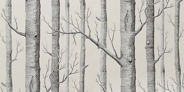 1460x2190 10 Excellent Sources for Buying Birch Tree Wallpaper | Apartment