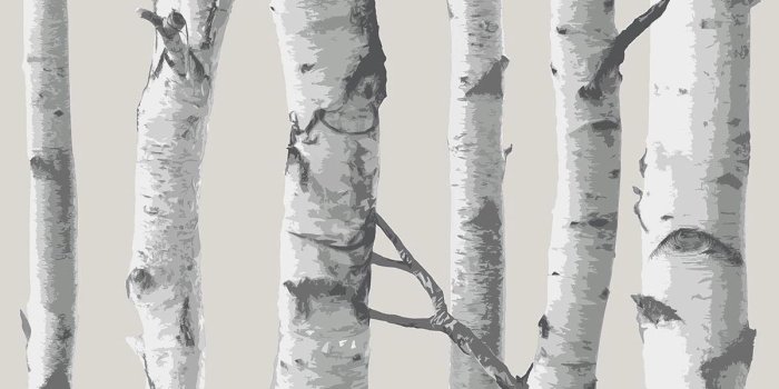 1200x1360 Birch Tree Wallpaper - Peel & Stick Wallpaper | JOANN