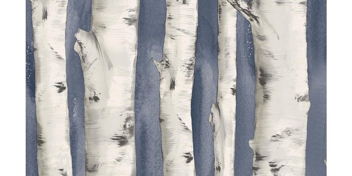 1000x1000 Chesapeake 8 in. x 10 in. Pioneer Denim Birch Tree Wallpaper