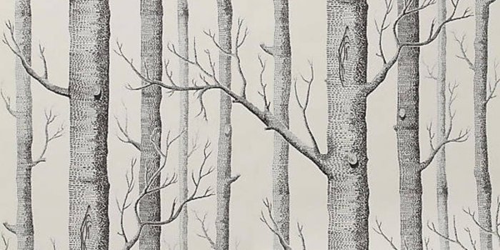 1500x1500 10 Excellent Sources for Buying Birch Tree Wallpaper | Apartment