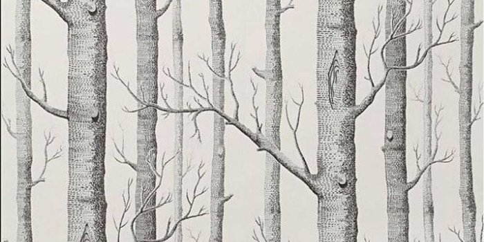 1000x1000 Black White Birch Tree Wallpaper for Bedroom Modern Design Living