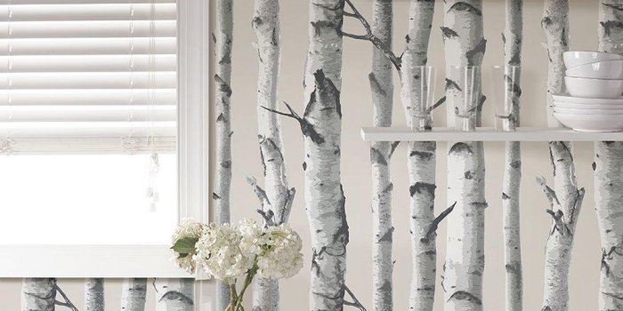 1000x1000 NuWallpaper Multi Color Birch Tree Wallpaper NU1650 - The Home Depot