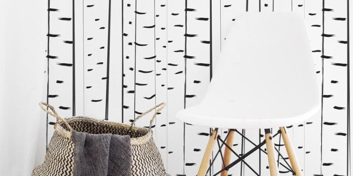 900x900 Birch tree removable wallpaper by Livettes