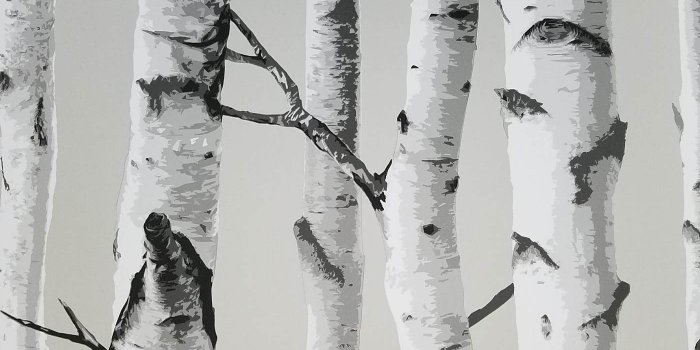1400x1400 Birch Trees NU Wallpaper Peel Stick Wallpaper | NU1650 – D. Marie