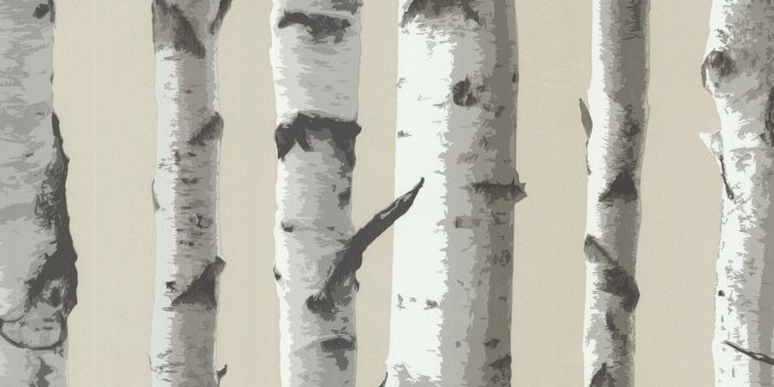 1280x1280 Irvin Birch Tree Linen Wallpaper 2532-20418 - indoorwallpaper.com
