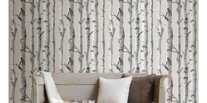 1000x1000 NuWallpaper Multi Color Birch Tree Wallpaper NU1650 - The Home Depot