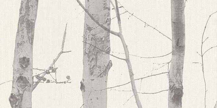 1000x1000 Erismann Paradisio Wallpaper 6305-10 - Paste Wall Textured Glitter