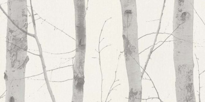 1000x1000 Textured Vinyl Birch Tree Wallpaper Silver White Grey Deluxe