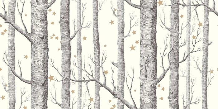 2000x1385 QVJHRN6 Cole And Sons Birch Tree Wallpaper 2000x1385 px - Picserio.com
