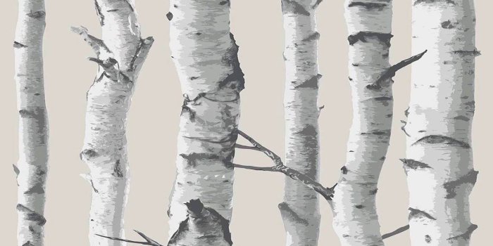 1280x720 Birch Tree Peel And Stick Wallpaper