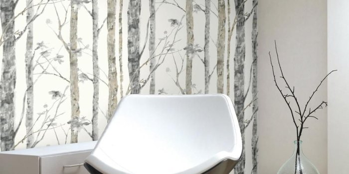 1000x1000 BIRCH TREES PEEL AND STICK WALLPAPER |Peel And Stick Decals |The