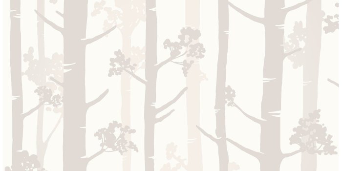 1768x1768 Shop Frist, Birch Tree Wallpaper, 20.5 in x 33 ft = About 56.4