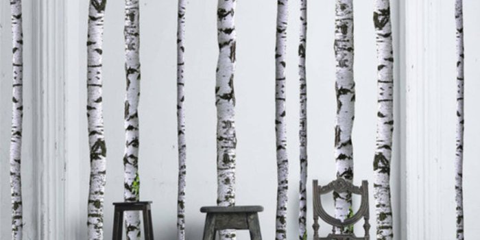 1460x1454 10 Excellent Sources for Buying Birch Tree Wallpaper | Apartment