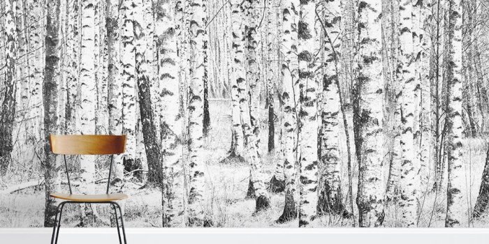 1000x1000 Wallums Wall Decor Snow Covered Birch Tree 8' x 144