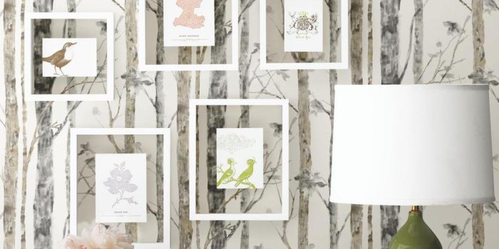 1000x1000 Birch Trees Peel and Stick Wallpaper | RoomMates