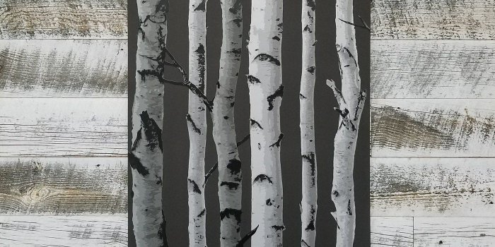 1400x1400 Brewster Distinctive Black Birch Tree Wallpaper | 2900-31052 – D