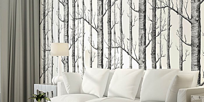 1000x1000 Black And White Woods Birch Tree Abstract Wallpaper