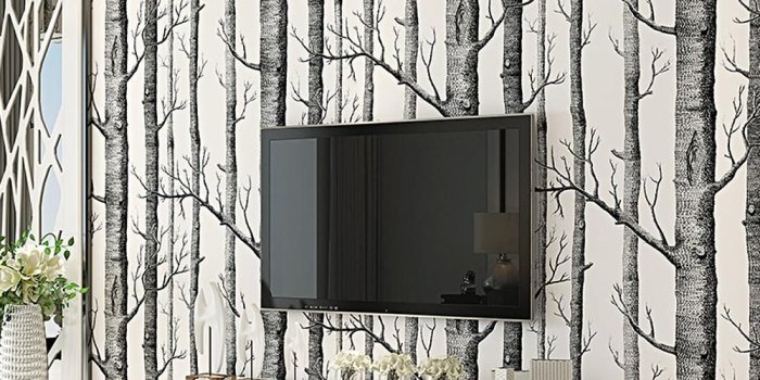 1000x1000 Black White Birch Tree Wallpaper for Bedroom Modern Design Living