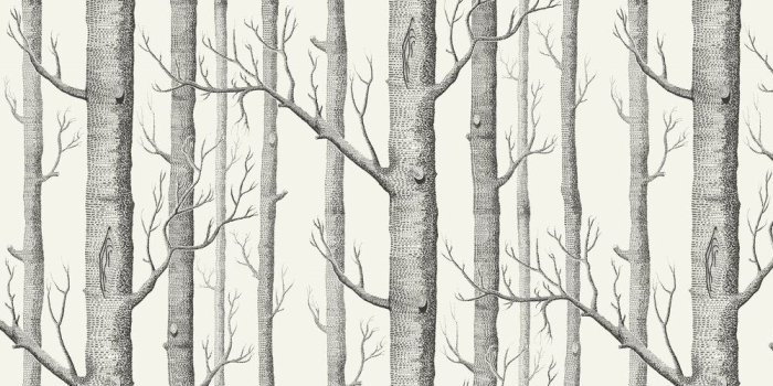 1000x1000 Woods by Cole & Son - Black / White - Wallpaper : Wallpaper Direct