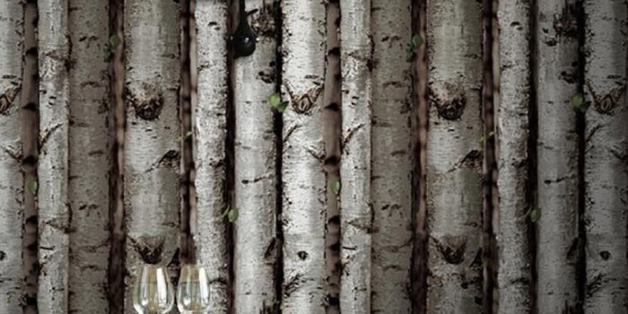 1000x1000 White Birch Tree Wallpaper Dark Brown Forest Birch Wood Vinyl Wall