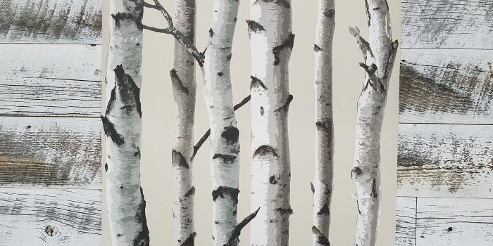 1400x1400 Tuxbury Beige Birch Trees Wallpaper | TLL21499 – D. Marie Interiors