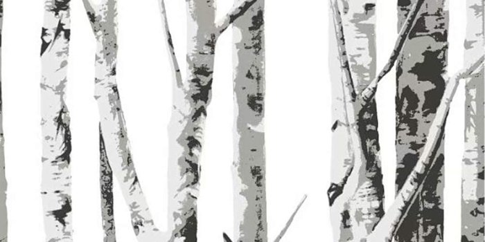 1000x1000 Blooming Wall Birch Tree Wallpaper Wall Mural Wall Paper